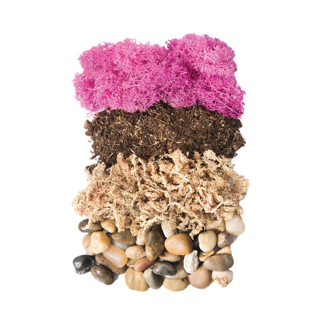Terrarium Kit DIY Jar – Newport